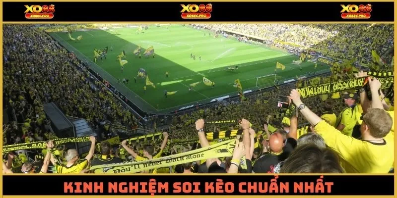 Kinh nghiệm soi kèo