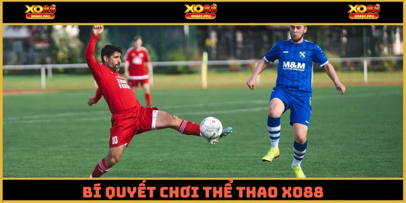 Bí quyết chơi Thể Thao XO88 giúp tăng tỷ lệ thắng