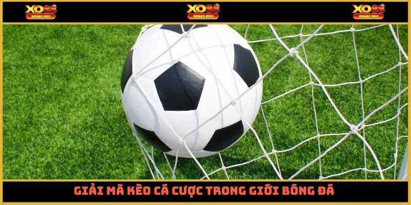 Giải mã kèo cá cược trong giới bóng đá