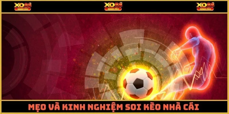 Mẹo và kinh nghiệm soi kèo nhà cái từ cao thủ