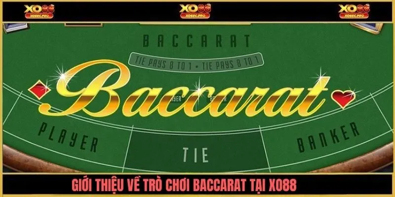Tổng quan về trò chơi baccarat XO88