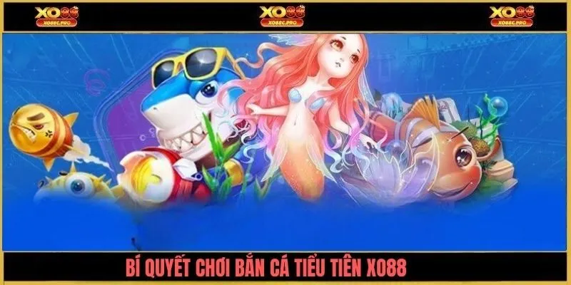 Bí quyết chơi bắn cá tiểu tiên XO88 hiệu quả